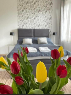 Villa Marzenie Pokój 2 osobowy, Wdzydze Tucholskie